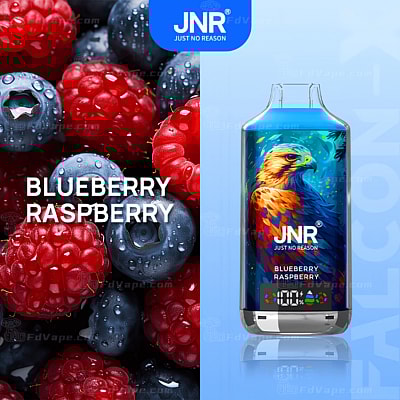 Närbild av blåbär och hallon bredvid en vapeflaska med färgglad fågeldesign, märkt "JNR Blueberry Raspberry."
