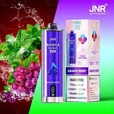 Grape mint flavored disposable vape with packaging, featuring mint leaves and grapes.