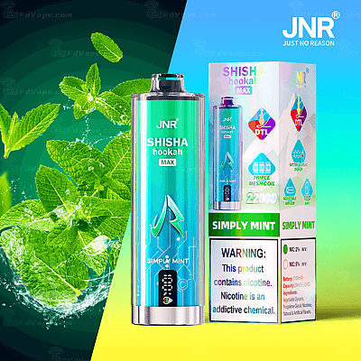 JNR Shisha Hookah Max Simply Mint vape pen and packaging with mint leaves in the background.