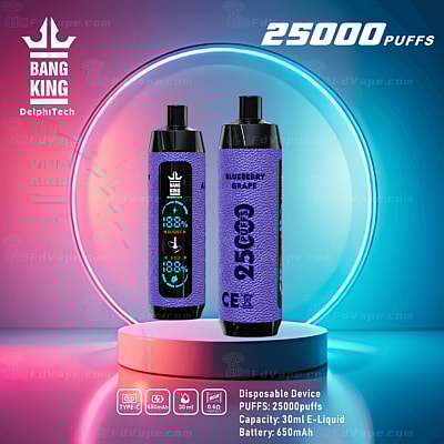 Wegwerp-vape-apparaat met 25.000 trekjes, bosbessensmaak, 30 ml e-liquidcapaciteit, 650 mAh-batterij en mesh-coil, met de merknaam "Bang King" van DelphiTech, afgebeeld tegen een futuristische, oplichtende achtergrond.