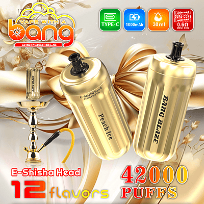 Immagine promozionale per un prodotto e-shisha usa e getta denominato "Bang", che offre 42.000 boccate, 12 gusti e caratteristiche quali la ricarica tramite USB Type-C e una batteria da 1000 mAh.