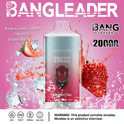 Immagine promozionale per lo svapo usa e getta Bang Leader 20000 al gusto di fragola ghiacciata, raffigurante un moderno dispositivo per lo svapo e dettagli del prodotto, tra cui 20.000 boccate, capacità di 28 ml e una batteria da 650 mAh su sfondo rosa.
