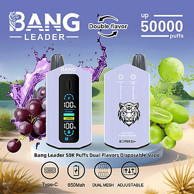 Imagem promocional do vape descartável Bang Leader, destacando sua capacidade de sabor duplo, capacidade para 50.000 tragadas, bateria recarregável Tipo C de 650 mAh, opções ajustáveis e tecnologia de malha dupla; os recursos visuais que acompanham incluem gráficos de uvas e frutas cítricas.