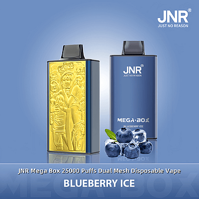 Deux appareils à vapotage jetables JNR Mega Box aux styles doré et bleu, accompagnés du nom de saveur « Blueberry Ice » et d'une image de myrtilles fraîches.