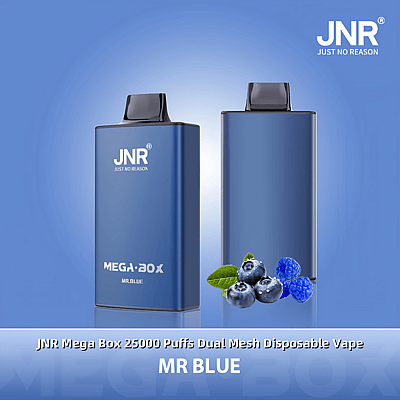 Appareil de vapotage jetable à double maille bleue étiqueté « JNR Mega Box » avec une image de myrtilles et de feuilles de menthe, affichée sur un fond bleu clair.