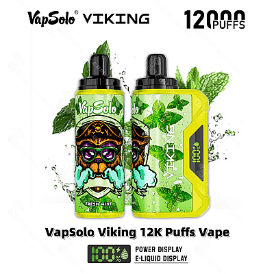 Afbeelding van de VapSolo Viking 12K Puffs Vape met Fresh Mint-smaakverpakking, met een groen en geel kleurenschema en zichtbare weergave van het vermogen en de e-liquid.