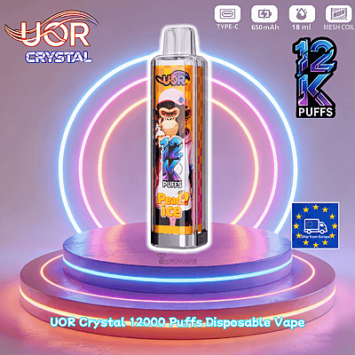 12k Vape Preis Fryd 12K Disposable Vape 12k Zge Vape FDVAPE