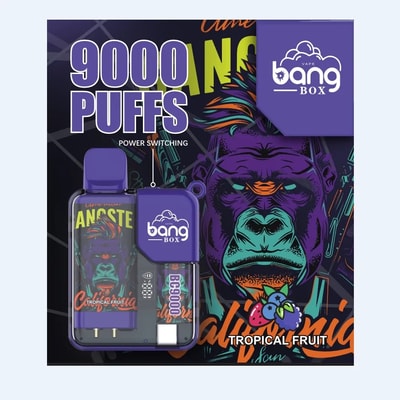 Original Wholesale Bang Box 9000 9k Puffs Disposable Vape - High-capacity disposable vape device
