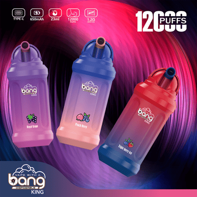 Chinesisches neues Modell Bang King 12000 12k Puffs Disposable Vape - Einweg-Vape-Gerät mit hoher Kapazität