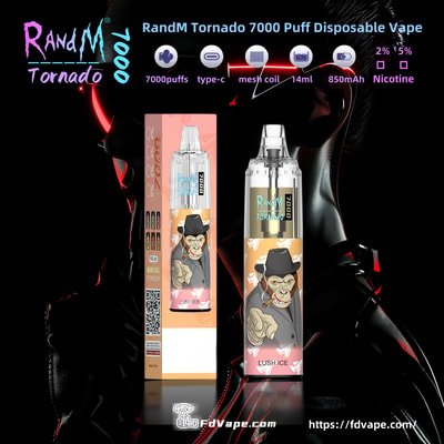 Original grossist BANG Tn 12000 12k Puffs Disposable Vape - Hög kapacitet engångs vaping enhet