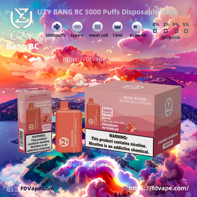 UZY BANG BC 5000 Puffs Disposable Vape - High-capacity disposable vaping device