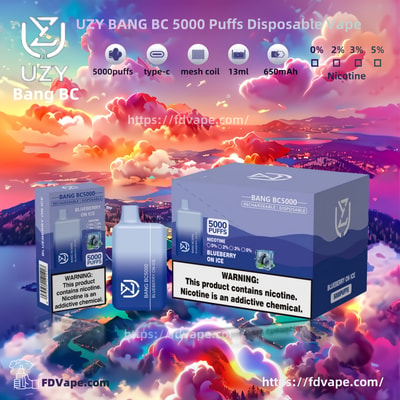 UZY BANG BC 5000 Puffs Disposable Vape - High-capacity disposable vaping device