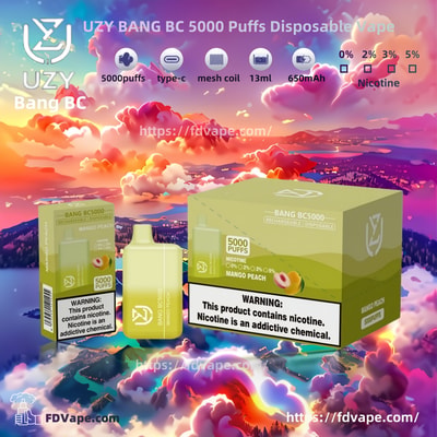 UZY BANG BC 5000 Puffs Disposable Vape - High-capacity disposable vaping device