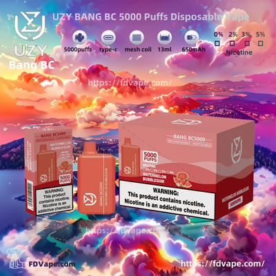 UZY BANG BC 5000 Puffs Disposable Vape - High-capacity disposable vaping device