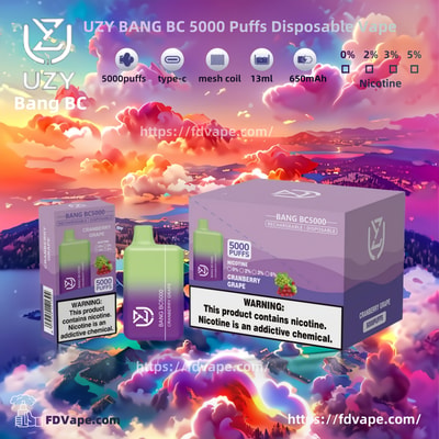 UZY BANG BC 5000 Puffs Disposable Vape - High-capacity disposable vaping device