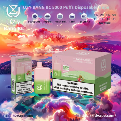 UZY BANG BC 5000 Puffs Disposable Vape - High-capacity disposable vaping device