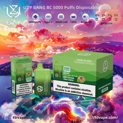 UZY BANG BC 5000 Puffs Disposable Vape - High-capacity disposable vaping device