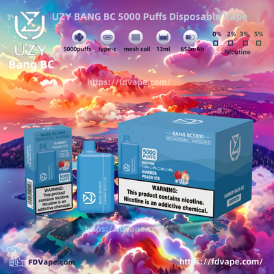 UZY BANG BC 5000 Puffs Disposable Vape - High-capacity disposable vaping device