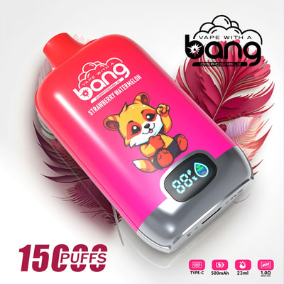 Bang Digital 15000 15k Puffs LED Power Display Wholesale Original Disposable Vape - High-capacity disposable vaping device with LED power display