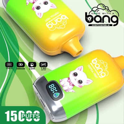 Bang Digital 15000 15k Puffs LED Power Display Wholesale Original Disposable Vape - High-capacity disposable vaping device with LED power display