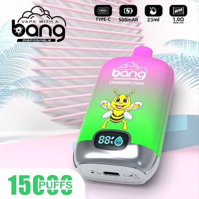 Bang Digital 15000 15k Puffs LED Power Display Wholesale Original Disposable Vape - High-capacity disposable vaping device with LED power display