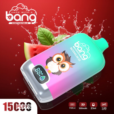 Bang Digital 15000 15k Puffs LED Power Display Wholesale Original Disposable Vape - High-capacity disposable vaping device with LED power display