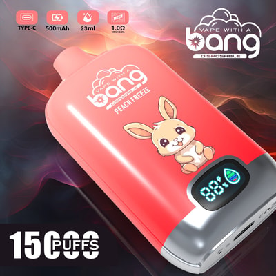Bang Digital 15000 15k Puffs LED Power Display Wholesale Original Disposable Vape - High-capacity disposable vaping device with LED power display