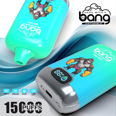 Bang Digital 15000 15k Puffs LED Power Display Wholesale Original Disposable Vape - High-capacity disposable vaping device with LED power display