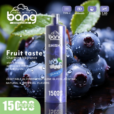 Bang SHISHA 15000 パフ使い捨てベイプ - 15000 パフを提供する使い捨てベイプデバイス