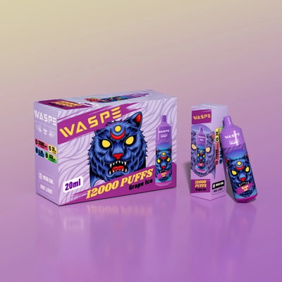 WASPE 12000 12k Puffs Disposable Vape - High-capacity disposable vape device offering 12000 puffs