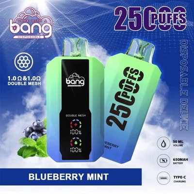 Bang 25000 25k Puffs 0% 2% 3% 5% Nicotine New LED Display Disposable Vape - High-capacity vaping device with LED display