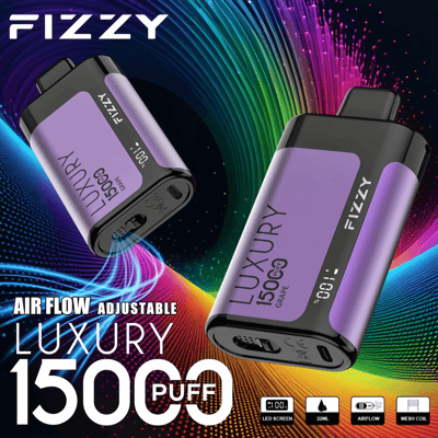 Stylo vape jetable Fizzy Luxury 15k 15000 Puffs 2% 5% Nicotine 15Tastes-Affichage LED-Directement depuis l'usine