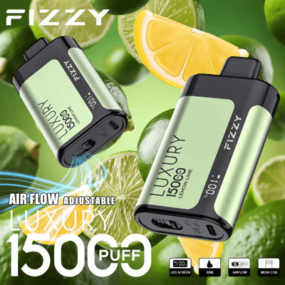 Stylo vape jetable Fizzy Luxury 15k 15000 Puffs 2% 5% Nicotine 15Tastes-Affichage LED-Directement depuis l'usine