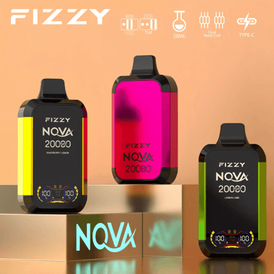 Stylo vape jetable Fizzy Nova 20k 20000 bouffées à double maille 2% 5% Nicotine 12 goûts Écran LCD Usine directe