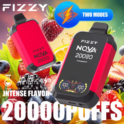 Stylo vape jetable Fizzy Nova 20k 20000 bouffées à double maille 2% 5% Nicotine 12 goûts Écran LCD Usine directe
