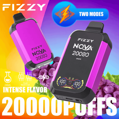 Stylo vape jetable Fizzy Nova 20k 20000 bouffées à double maille 2% 5% Nicotine 12 goûts Écran LCD Usine directe