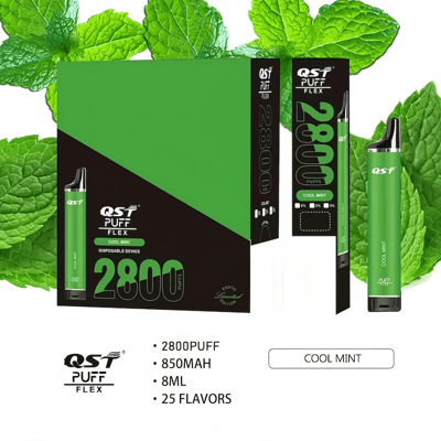 Confezione del dispositivo di svapo monouso QST Puff Flex con 2800 boccate, batteria da 850 mAh, capacità di 8 ml e fresco sapore di menta, raffigurato con foglie di menta sullo sfondo.