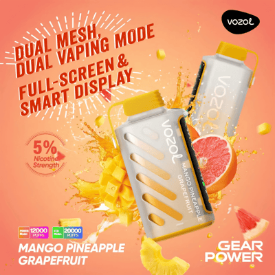 VOZOL Gear Power 20k 20000 Vape jetable à double mode 5% Nicotine 20 goûts Affichage LED Direct usine