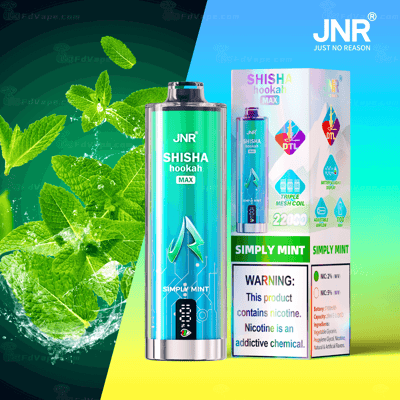 JNR Shisha Hookah Max Simply Mint vape pen en verpakking met muntblaadjes op de achtergrond.