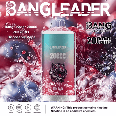 Immagine promozionale per il Bang Leader 20.000 Puff Disposable Vape con una grafica dettagliata di un leone e uno sfondo di schizzi di frutta vibrante. Include dettagli del prodotto come capacità di 28 ml, ricarica Type-C, batteria da 650 mAh, doppia bobina a maglie e un avviso sanitario sulla nicotina.