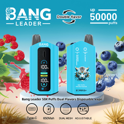Image featuring Bang Leader 50K Puffs Dual Flavors Disposable Vape devices with a blue design, digital display, and icons for features like USB Type-C, dual mesh coils, adjustable airflow, and 650mAh battery, alongside rendered raspberries and blueberries promoting dual flavors.