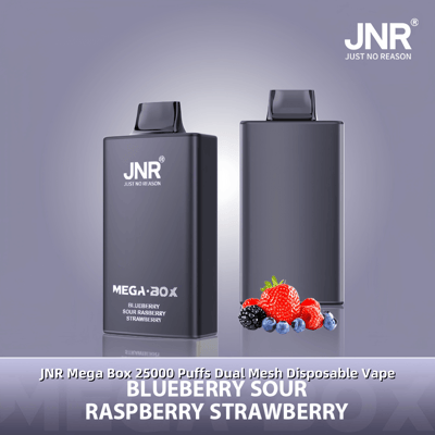 Deux vapes jetables JNR Mega Box élégantes et gris foncé présentées sur un fond dégradé, avec la saveur « Blueberry Sour Raspberry Strawberry » notée et une garniture des baies respectives affichées au premier plan inférieur.