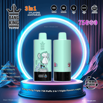 Grafica promozionale che raffigura il dispositivo di svapo usa e getta Bang King 3 in 1 con capacità di 75.000 tiri, con vivaci design verde menta e caratteristiche pubblicitarie come tre aromi regolabili, ricarica Type-C e una batteria da 650 mAh.