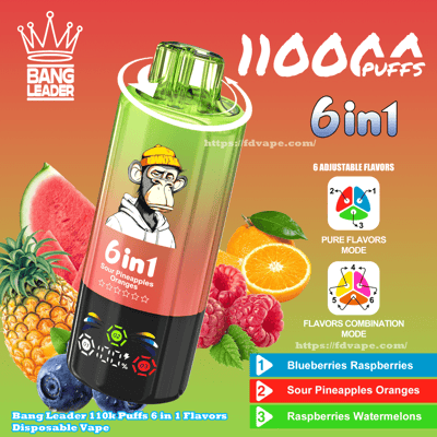 Bright ad featuring a green-to-red disposable vape labeled '6 in 1' with a cartoon chimp logo, Bang Leader branding, flavor-selection icons and surrounding fruits (pineapple, watermelon, orange, raspberries, blueberries) on a red-orange gradient background indicating adjustable and combination flavors.