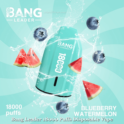 Teal Bang Leader disposable vape labeled 18000 puffs surrounded by splashing water, blueberries and watermelon slices on a turquoise radial background.