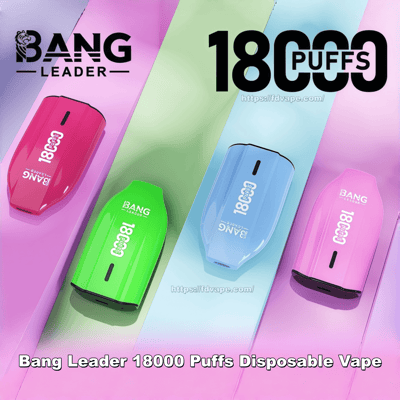 Four colorful Bang Leader disposable vape devices (bright pink, green, blue, and light pink) arranged diagonally on a pastel gradient background with large '18000 PUFFS' text and the Bang Leader logo visible.