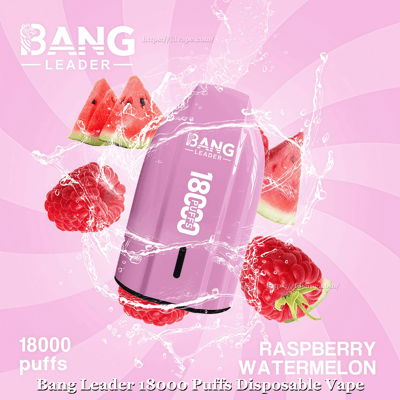 Pink Bang Leader disposable vape labeled '18000 puffs' centered amid splashing water droplets, raspberries and watermelon slices on a pink striped background with 'Raspberry Watermelon' flavor text.