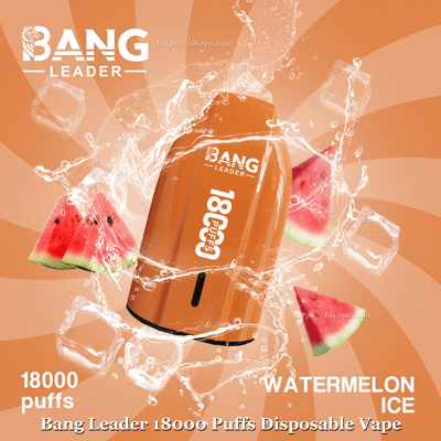 Bang Leader 18000 18K Puffs Disposable Vape 0% 2% 3% 5% Nicotines 12Tastes  Type-C Rechargeable Vape Factory Wholesale - FDVAPE