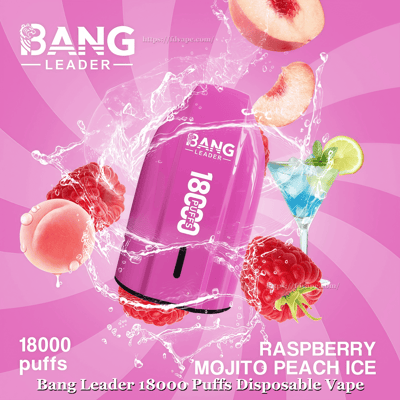 Bright pink Bang Leader disposable vape labeled 18000 puffs surrounded by splashing water, raspberries, peach slices and a mint-lime cocktail, advertising Raspberry Mojito Peach Ice flavor
