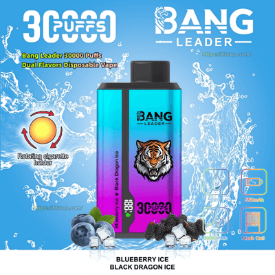 A tall rectangular Bang Leader disposable vape in a cyan-to-magenta gradient with a roaring tiger logo and '30,000 puffs' branding centered against a blue water-splash background, surrounded by blueberries, blackberries and ice cubes and product icons noting 'Blueberry Ice' and 'Black Dragon Ice' flavors, mesh coil and 550mAh battery.